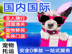 义乌机场物流国际宠物托运 【国